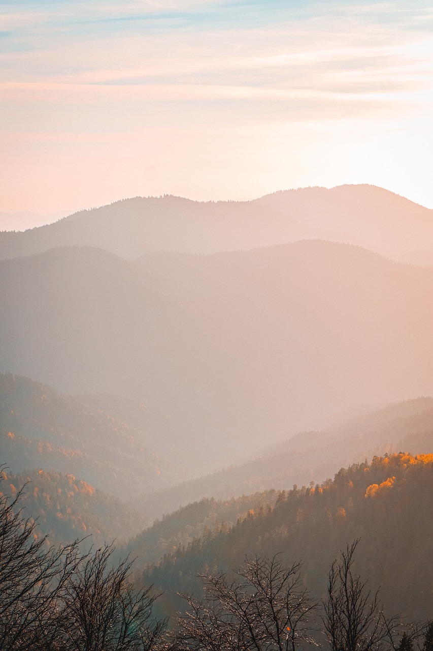 mountains, trees, sunset-6376016.jpg